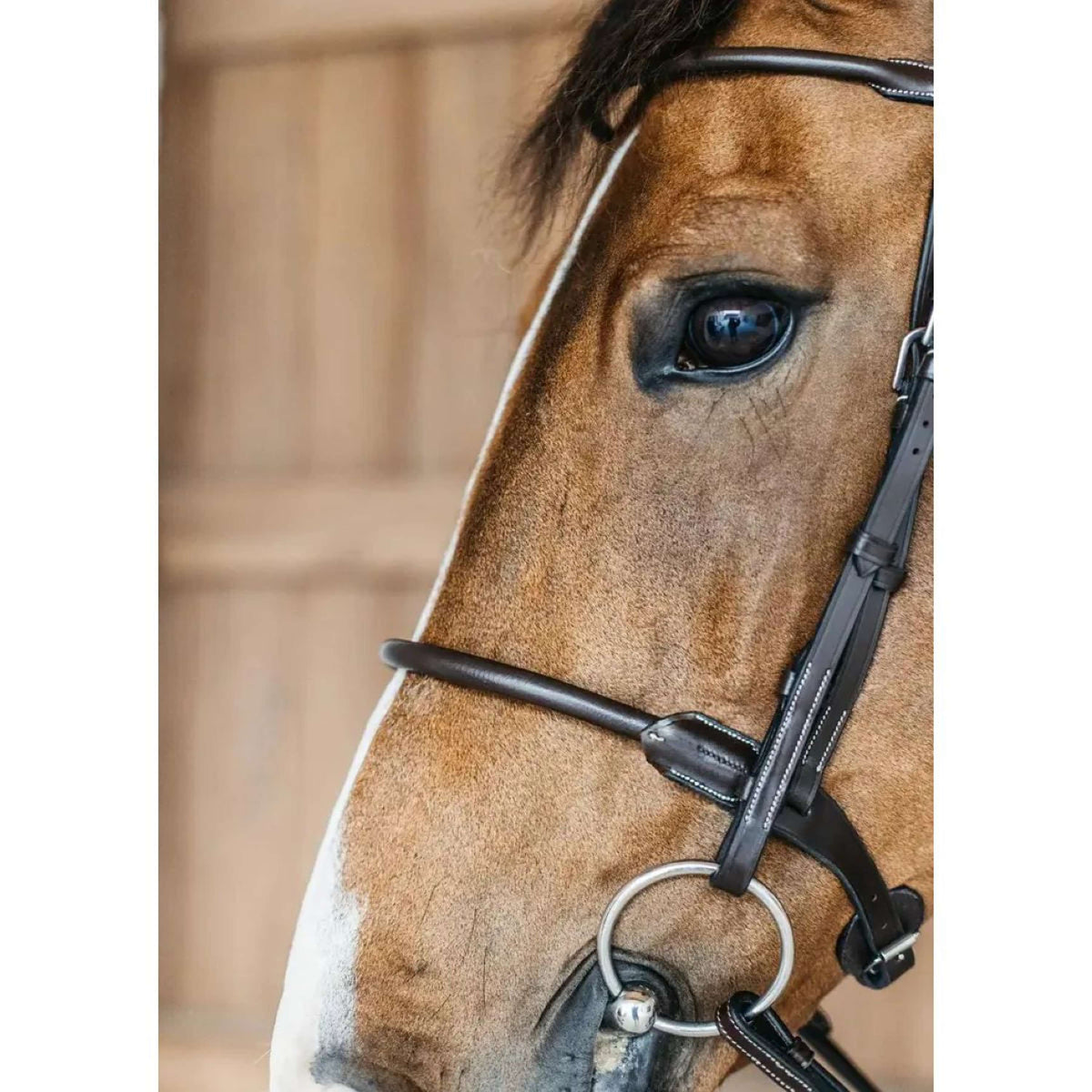 Dyon Briglia Round Leather Marrone