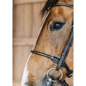 Dyon Briglia Round Leather Marrone