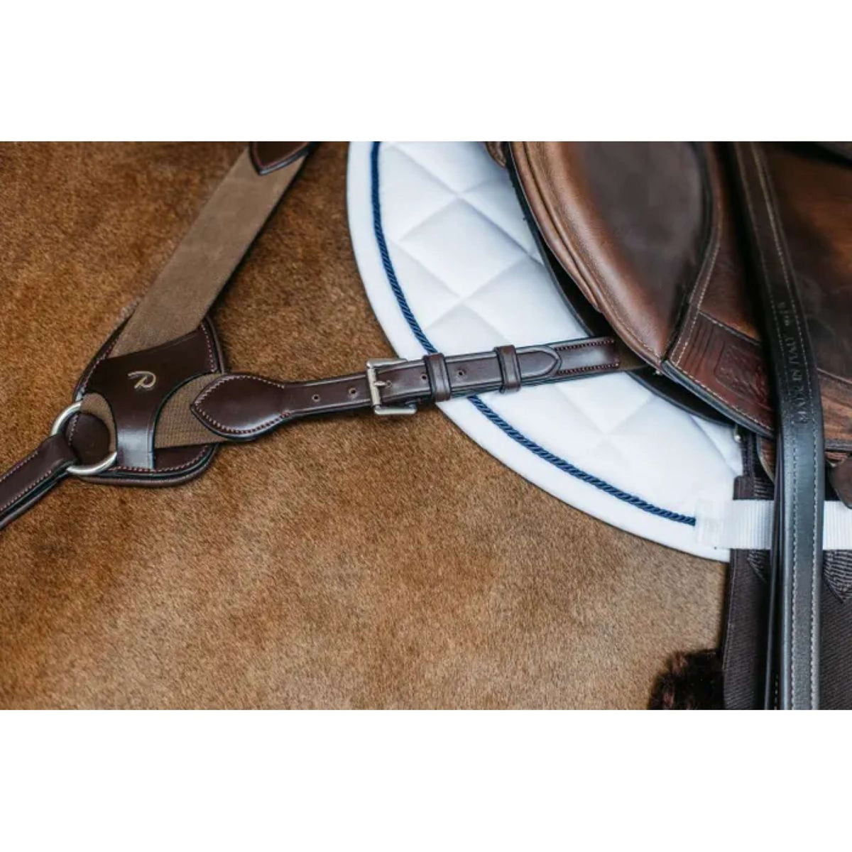 Dyon Pettorina 5 points New English Marrone