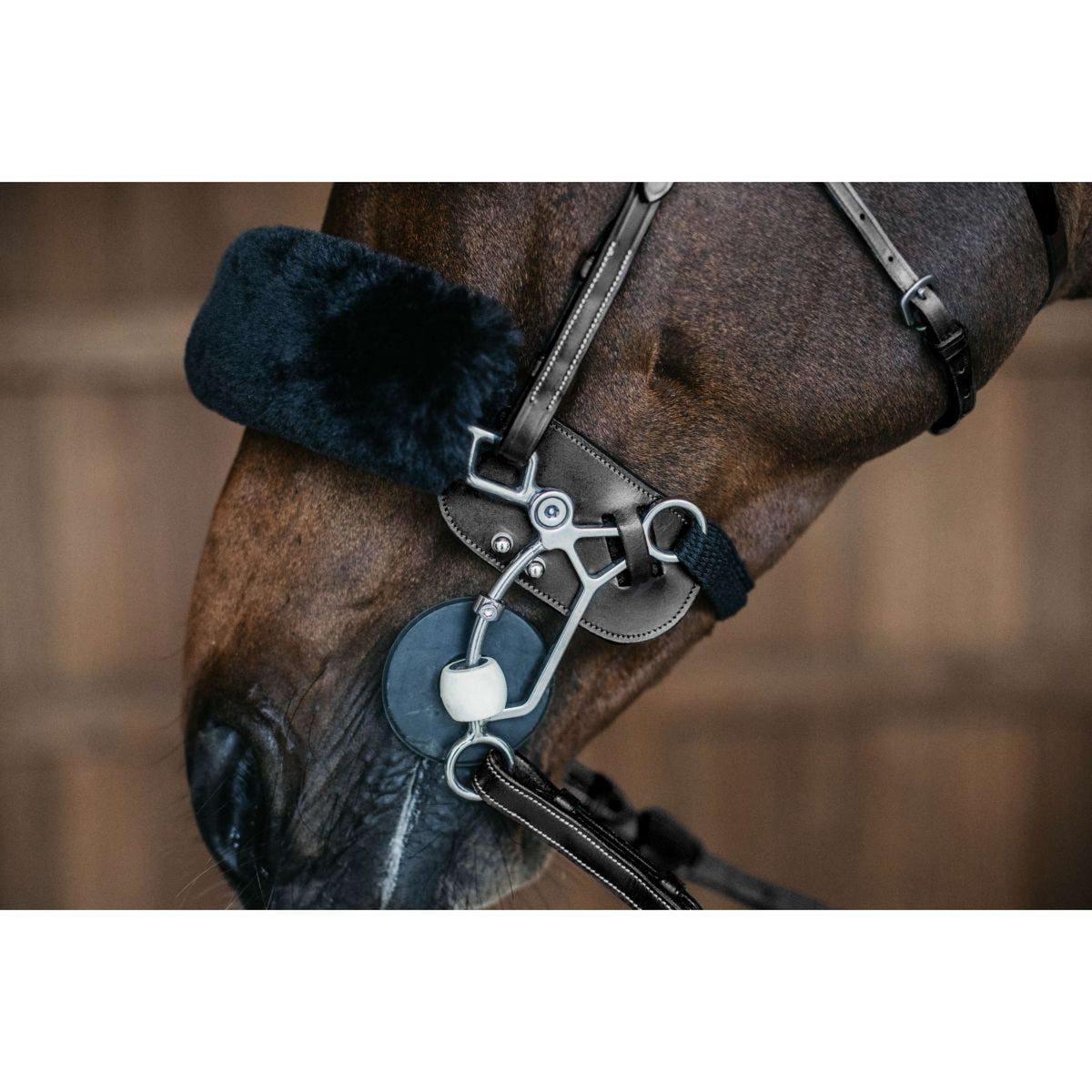 Dyon Protezione Hackamore Nero