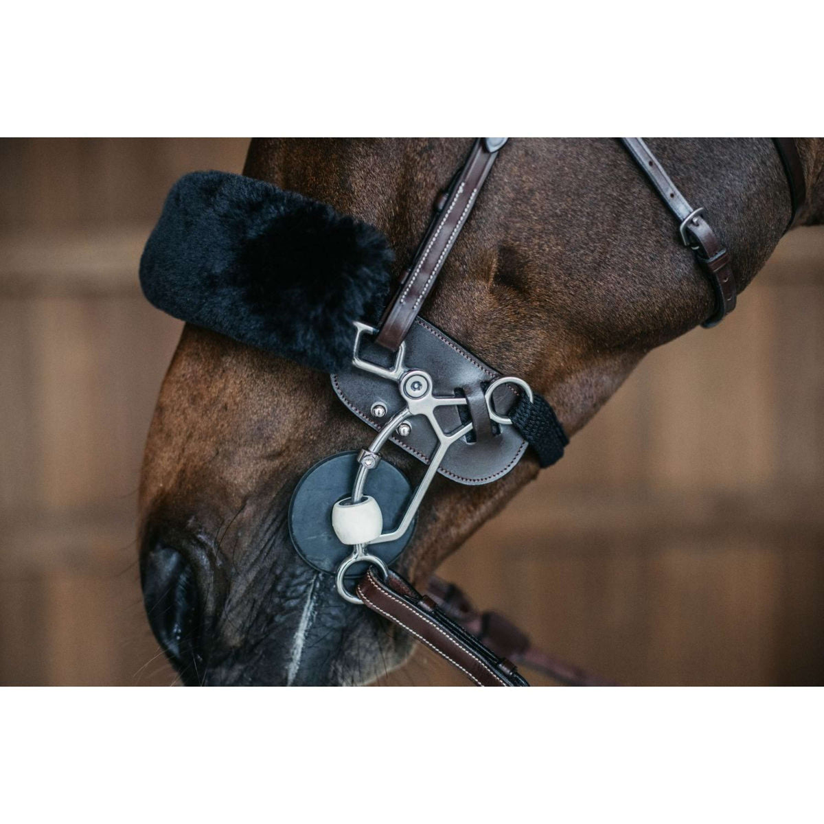 Dyon Protezione Hackamore Marrone