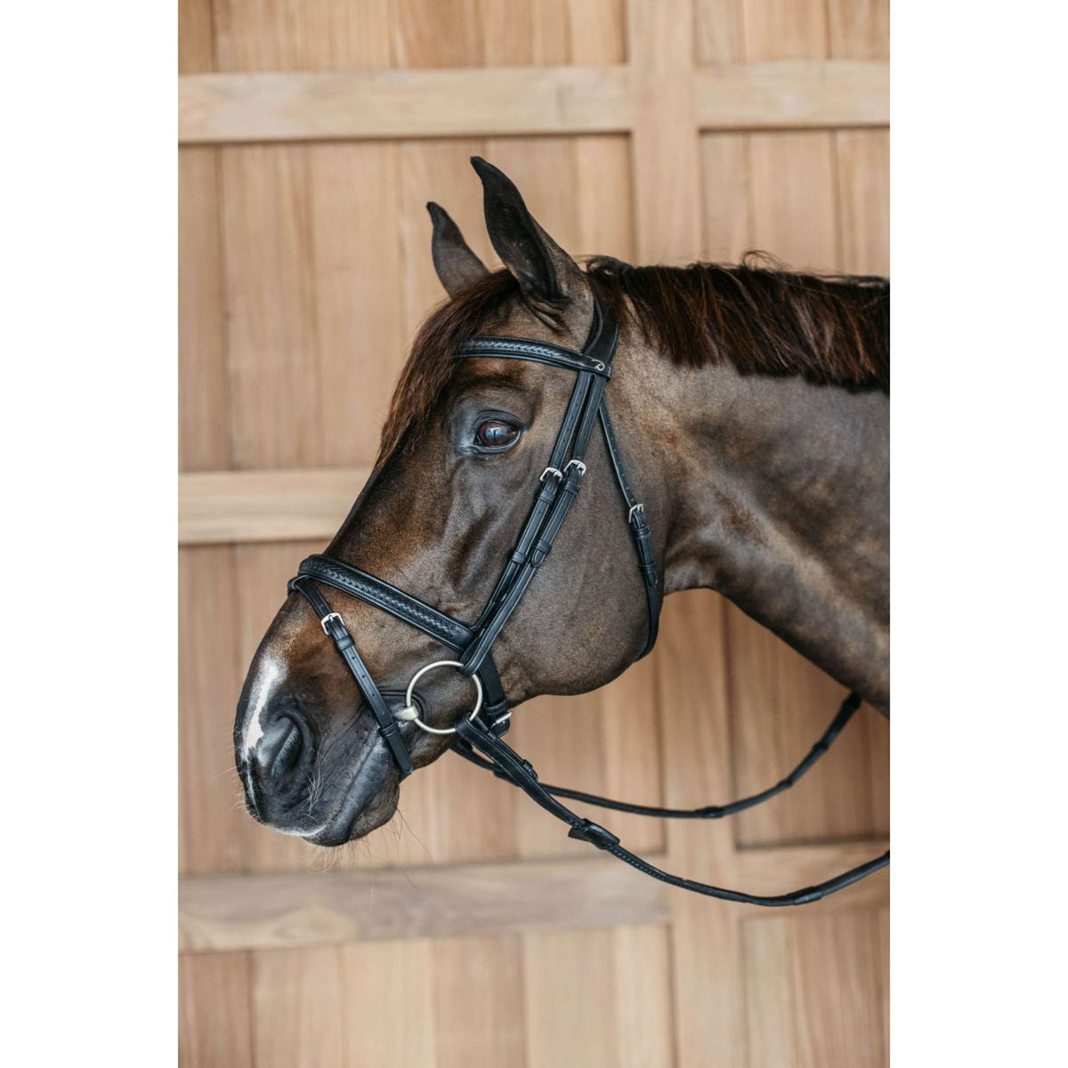 Dyon Briglia Flash Intrecciato Nero