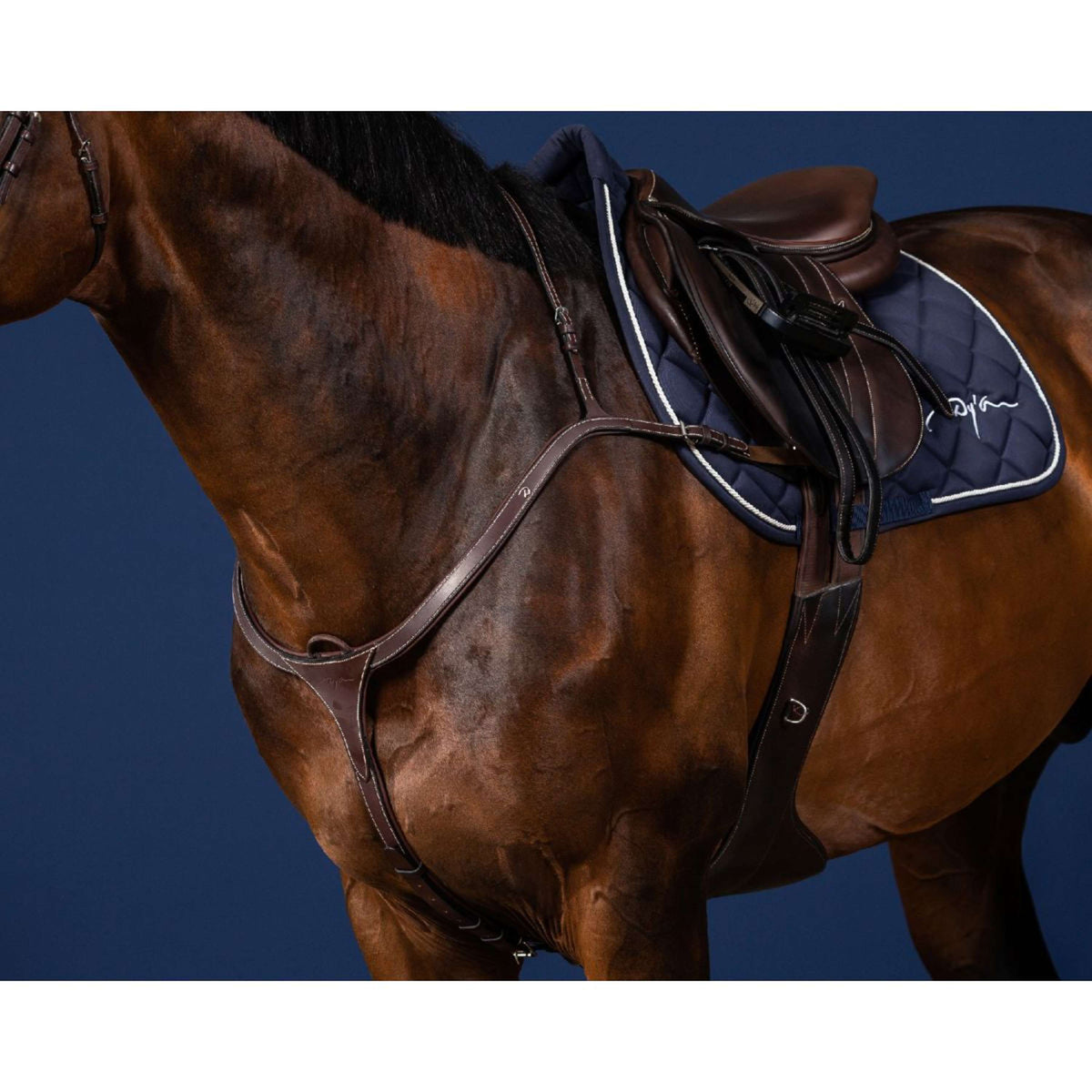 Dyon Pettorina Long Bridge Marrone/Argento