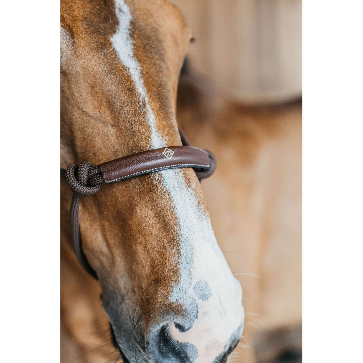 Dyon Capestro di addestramento Marrone