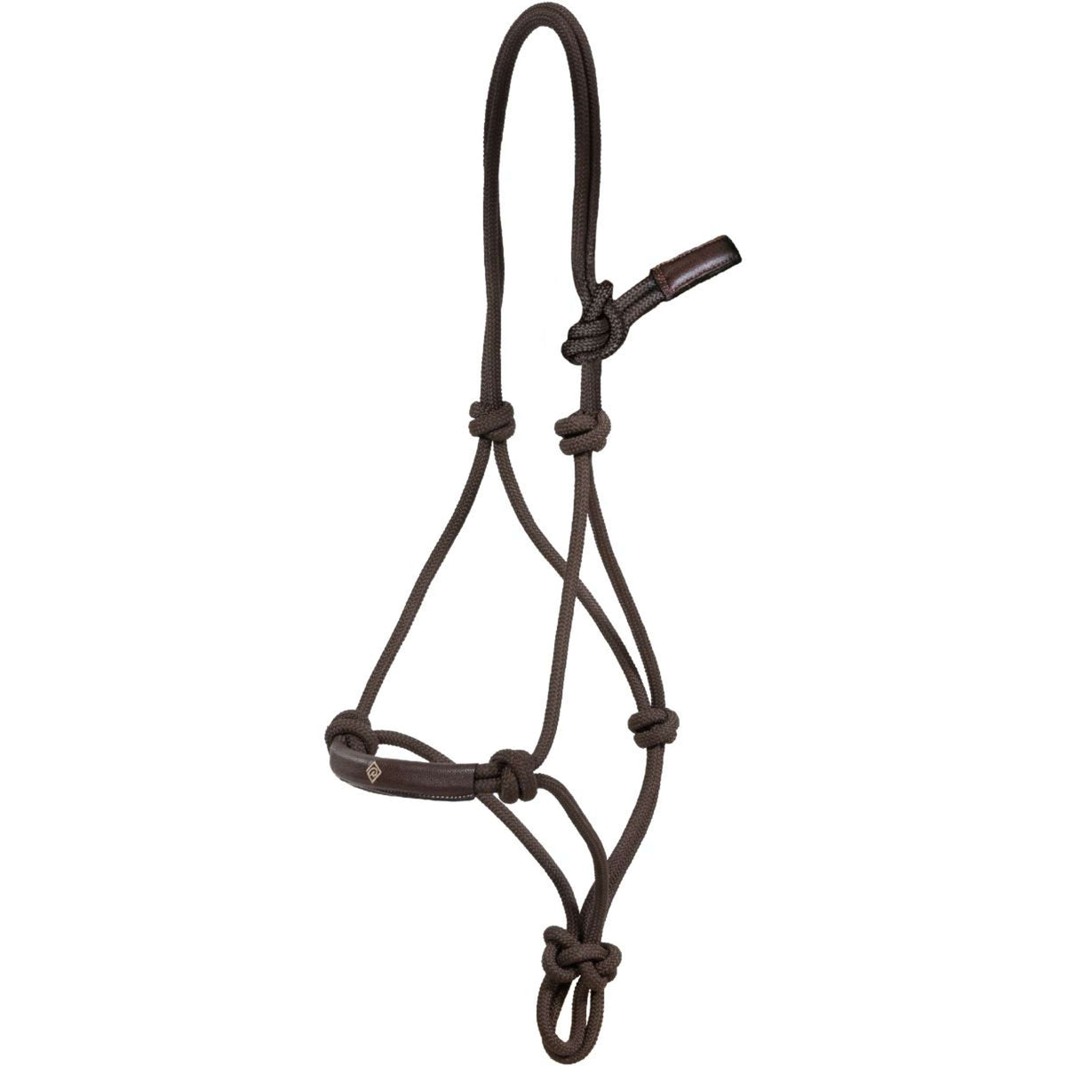 Dyon Capestro di addestramento Marrone