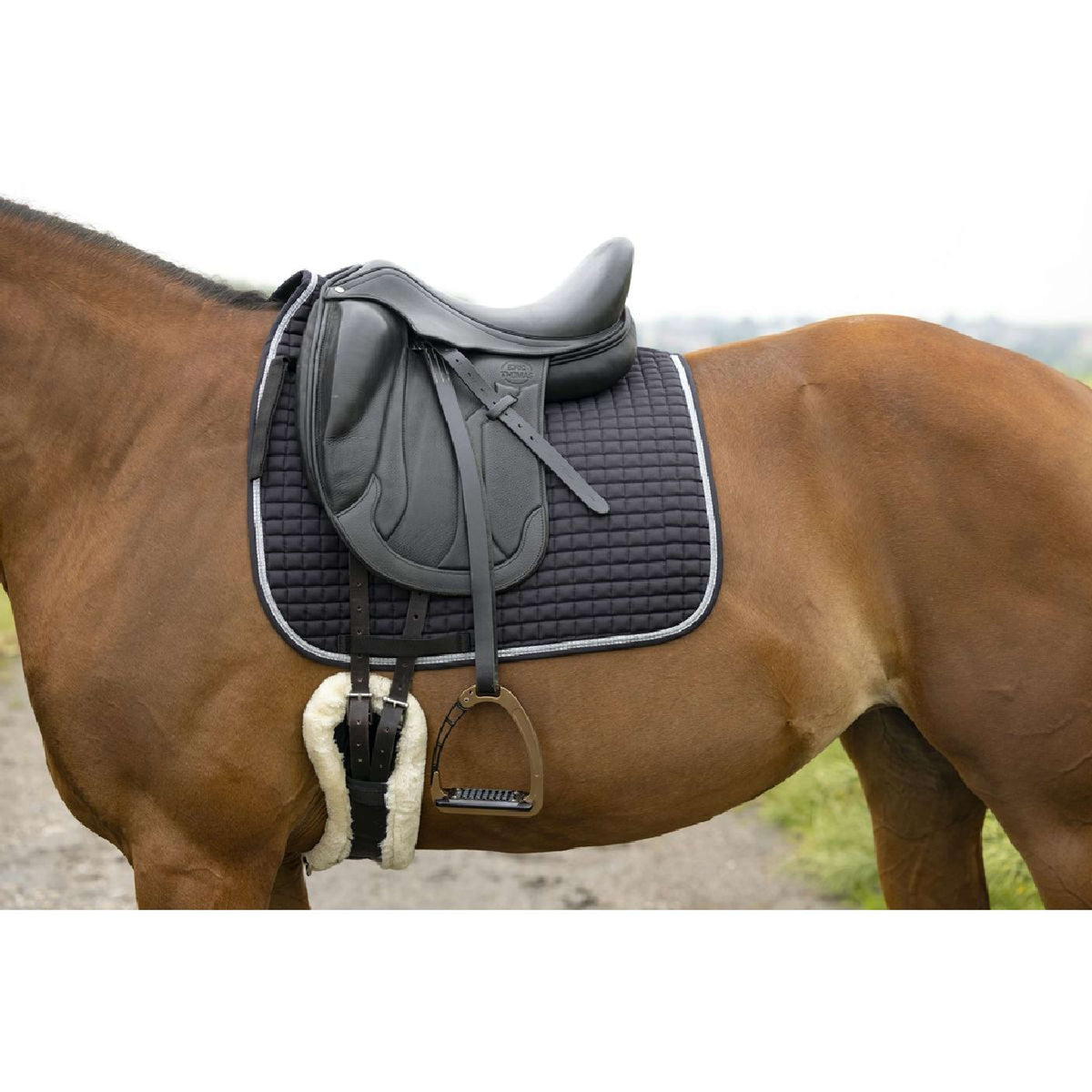 Riding World Sottosella Girly Nero