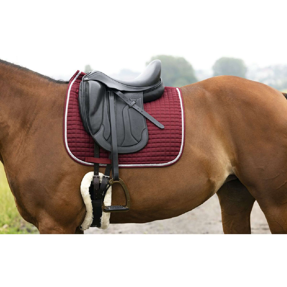 Riding World Sottosella Girly Bordeaux