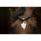 Norton Frontalino Diamond L'Avana