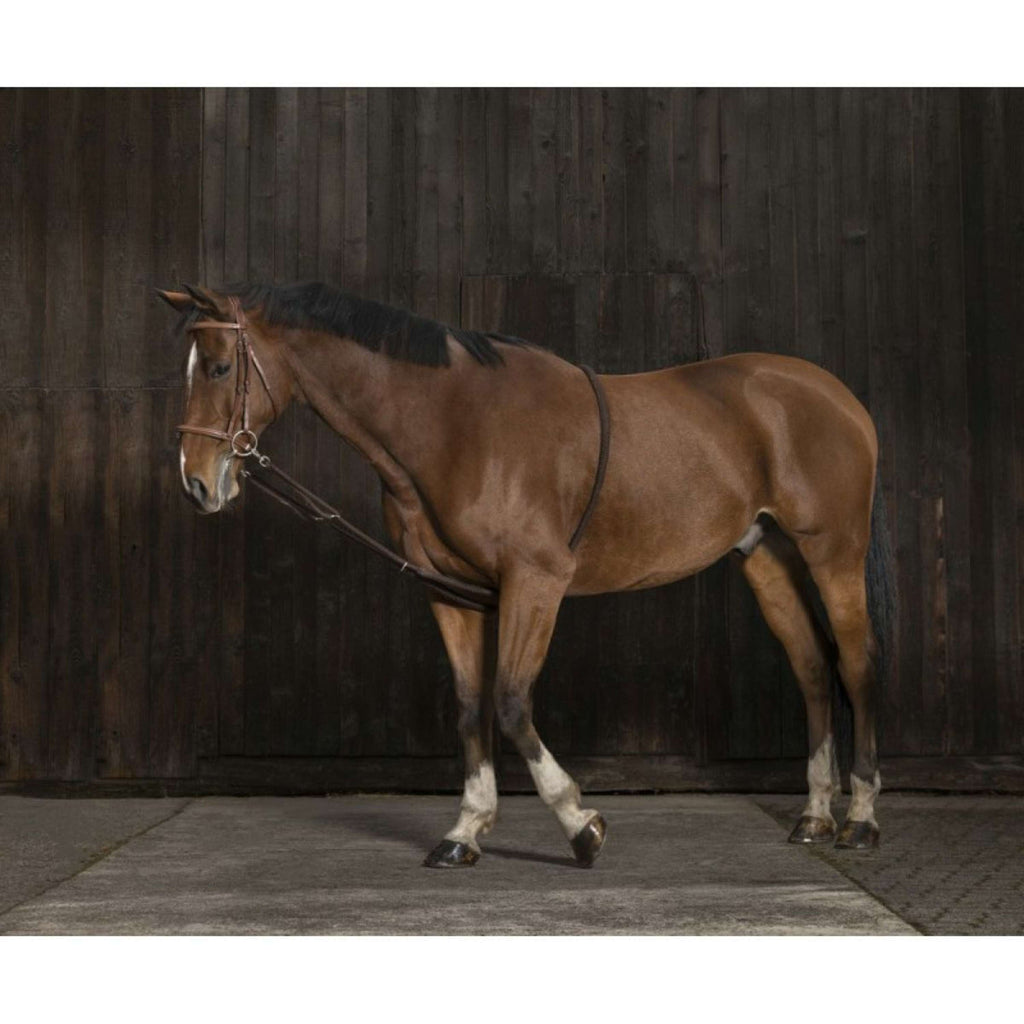 Norton Linea da Lavoro Marrone