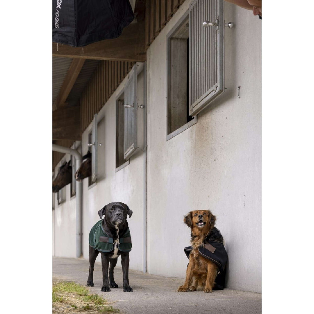 Diego & Louna Coperta per Cani Polar Nero