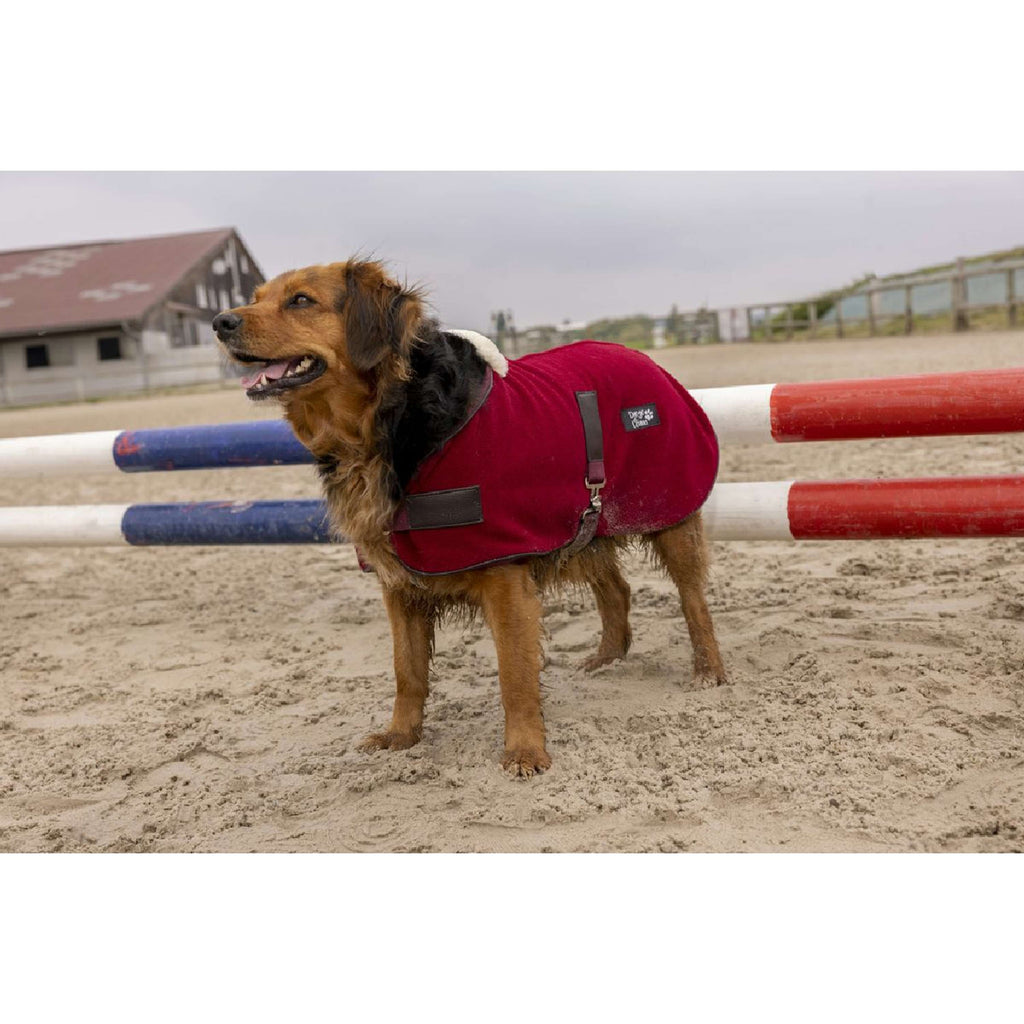 Diego & Louna Coperta per Cani Polar Bordeaux