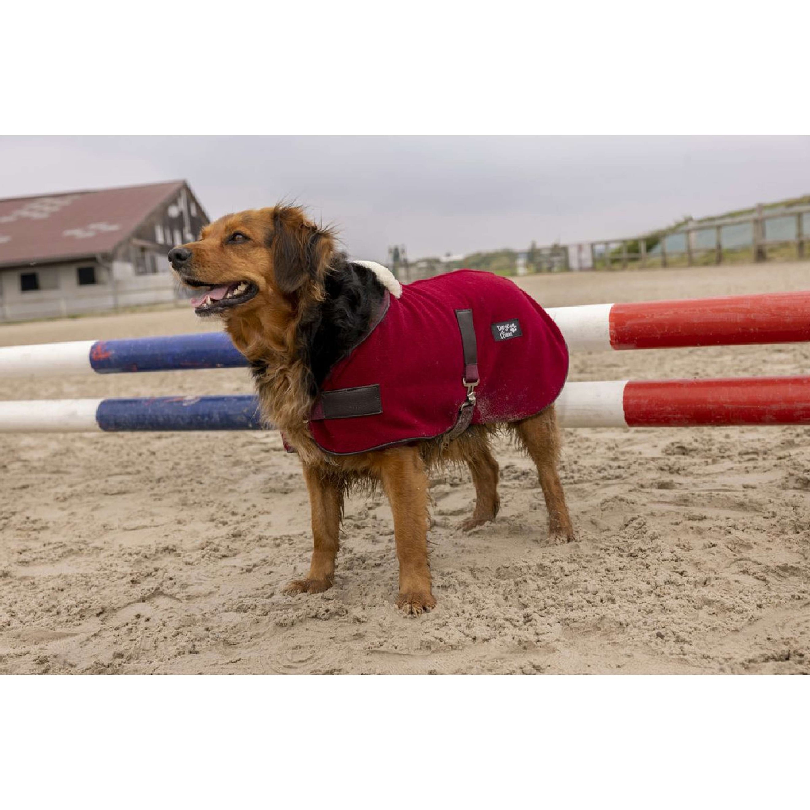 Diego & Louna Coperta per Cani Polar Bordeaux
