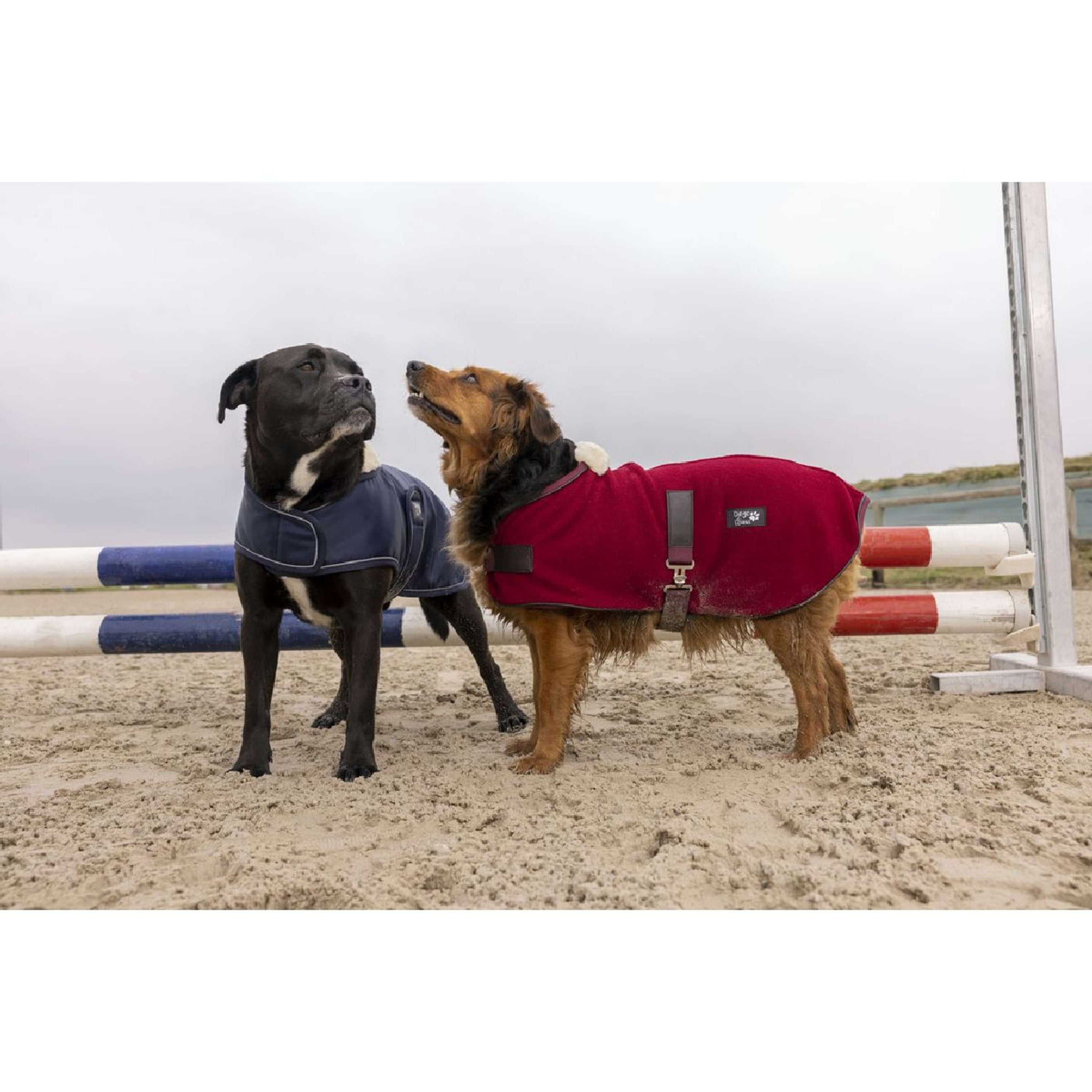 Diego & Louna Coperta per Cani Polar Navy Diego & Louna Coperta per Cani Polar Navy
