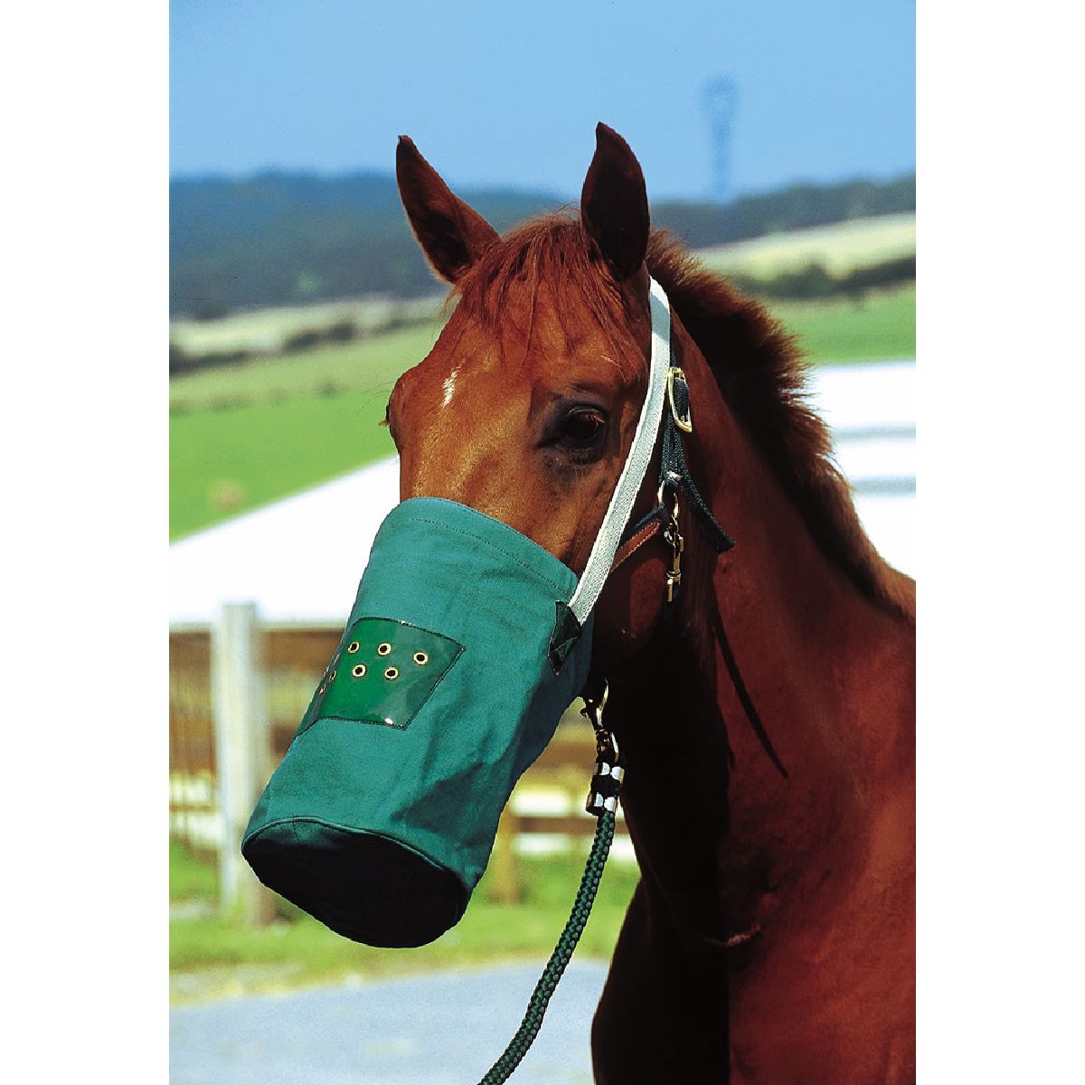 Hippotonic Borsa per mangime Canvas Verde