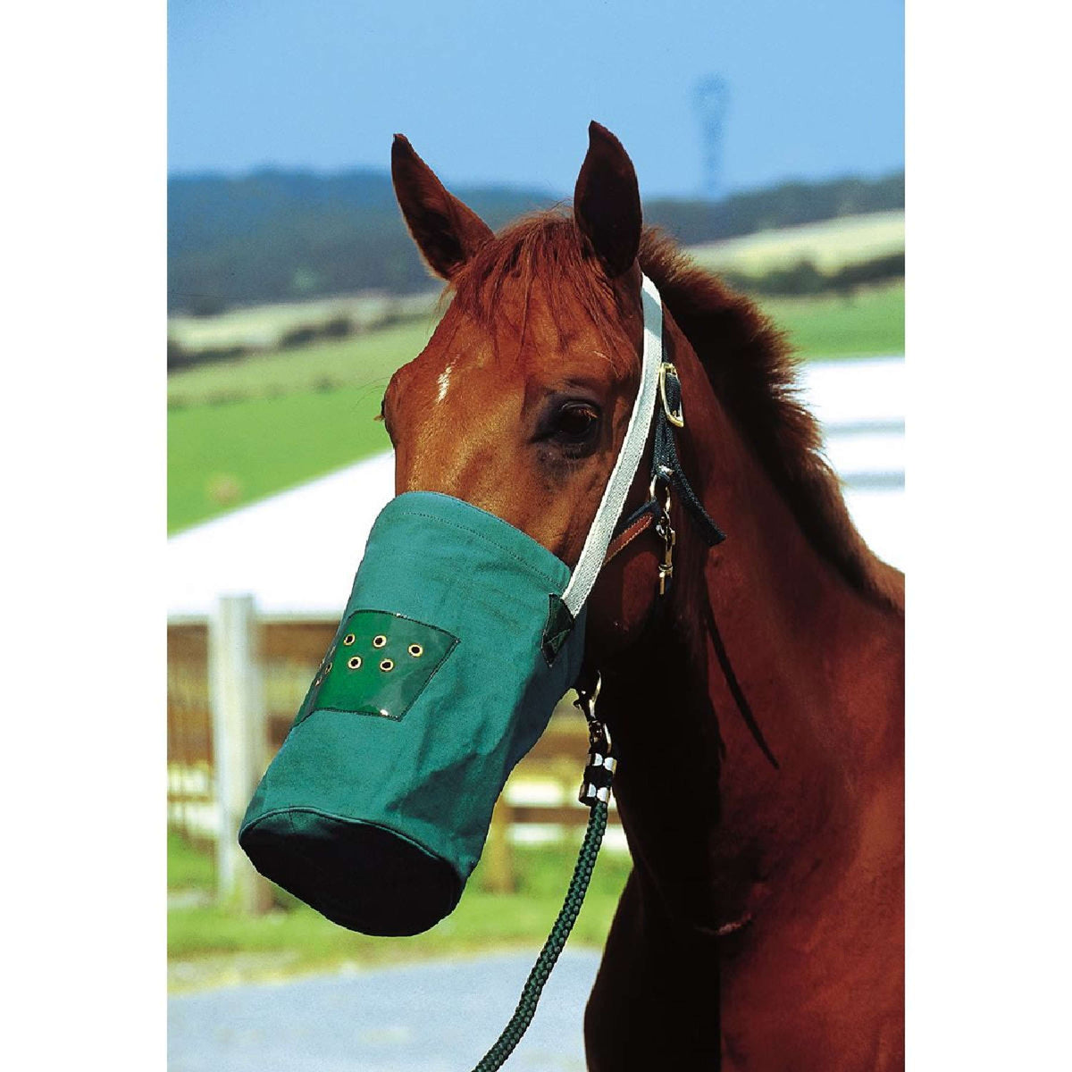 Hippotonic Borsa per mangime Canvas Verde