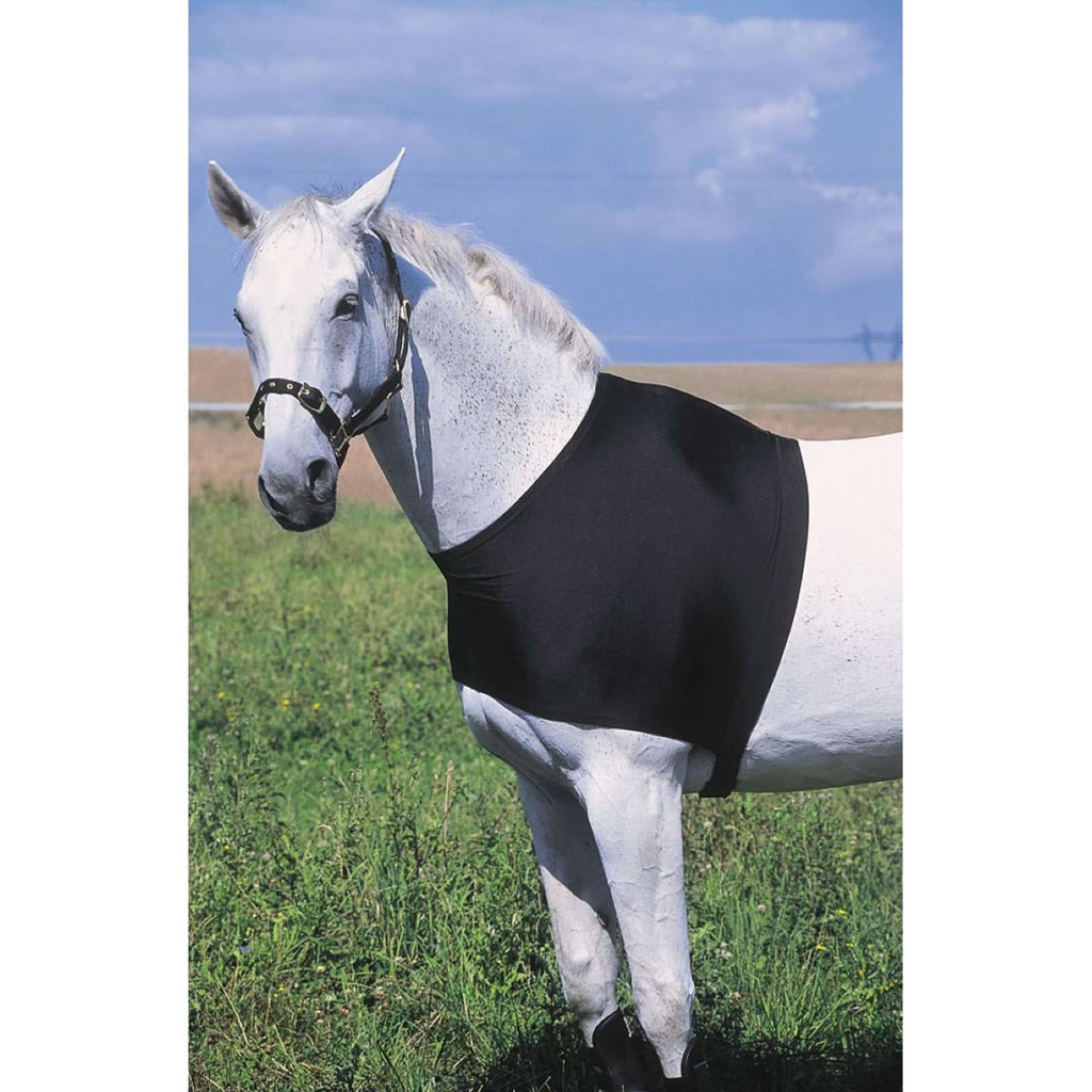 EQUITHÈME Protezione per Spalle Nero