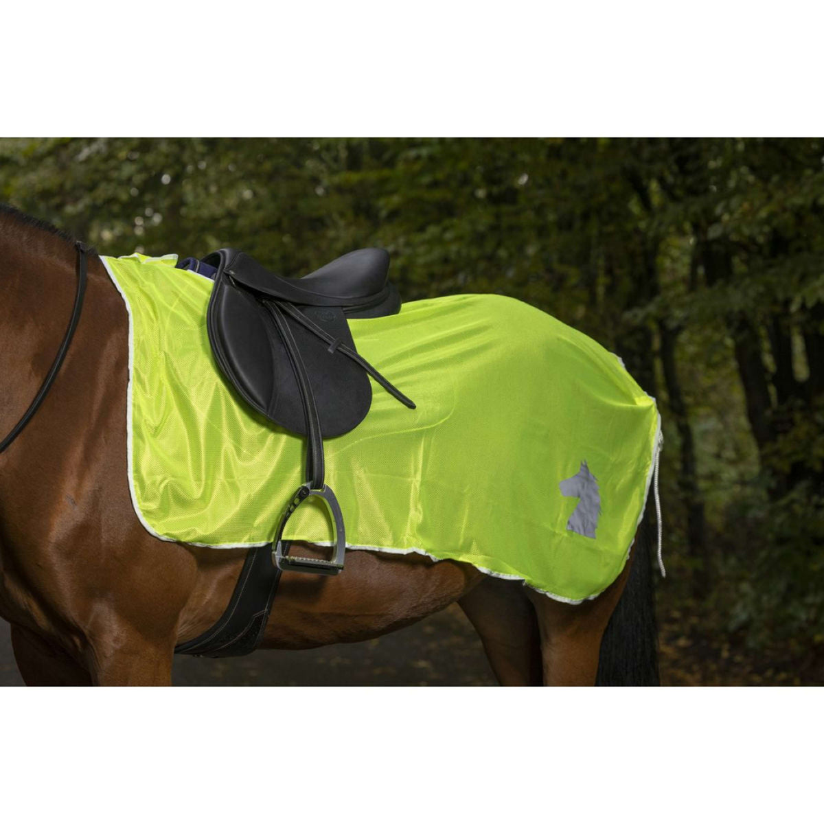 Norton Coperta da esercizio Giallo