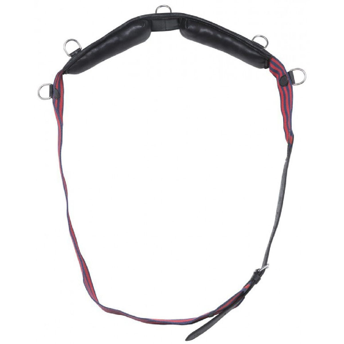 Norton Fascia da Addestramento Club Blu marino/rosso