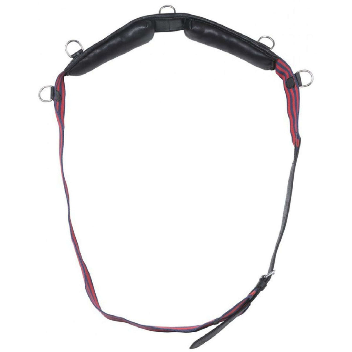 Norton Fascia da Addestramento Club Blu marino/rosso