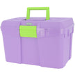 Viola/verde neon