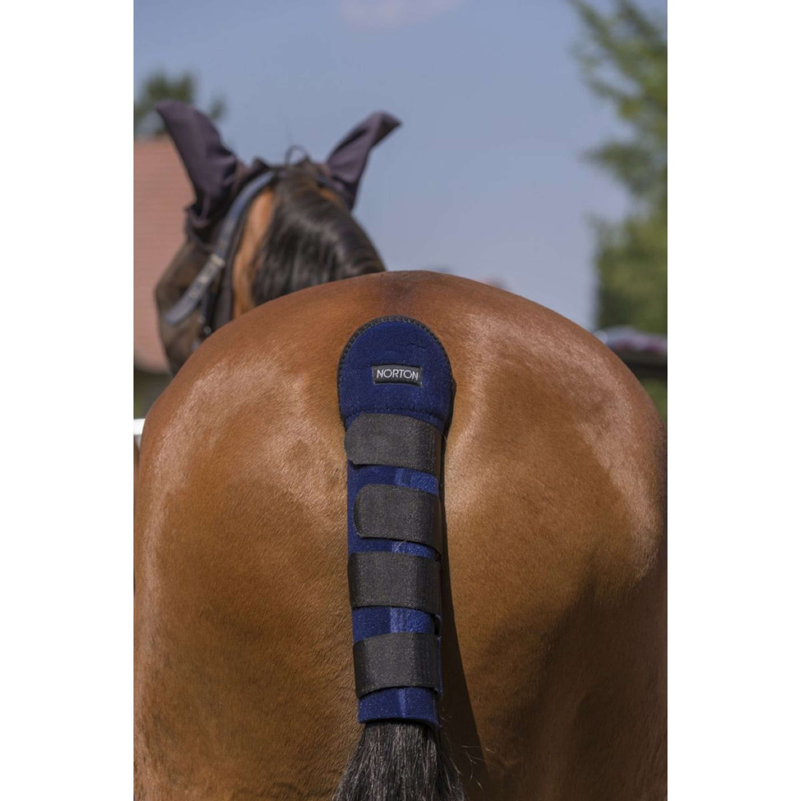 Norton Protettore di Coda High Protection Navy Norton Protettore di Coda High Protection Navy