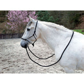 Norton Capezza da equitazione Nero