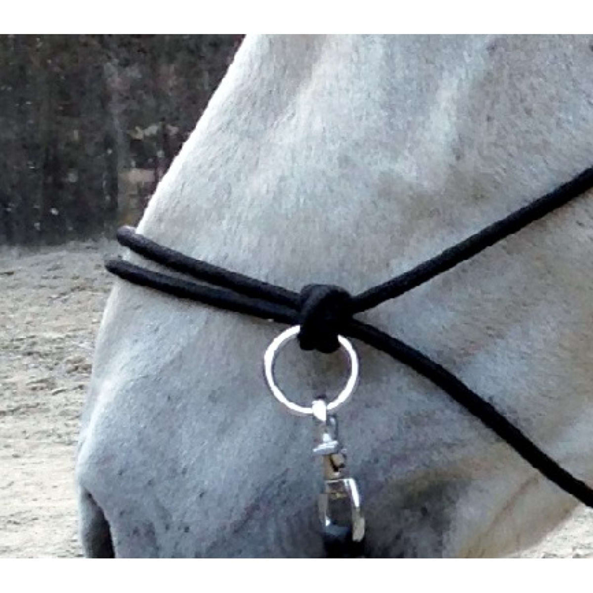 Norton Capezza da equitazione Nero