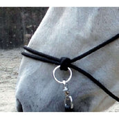 Norton Capezza da equitazione Nero