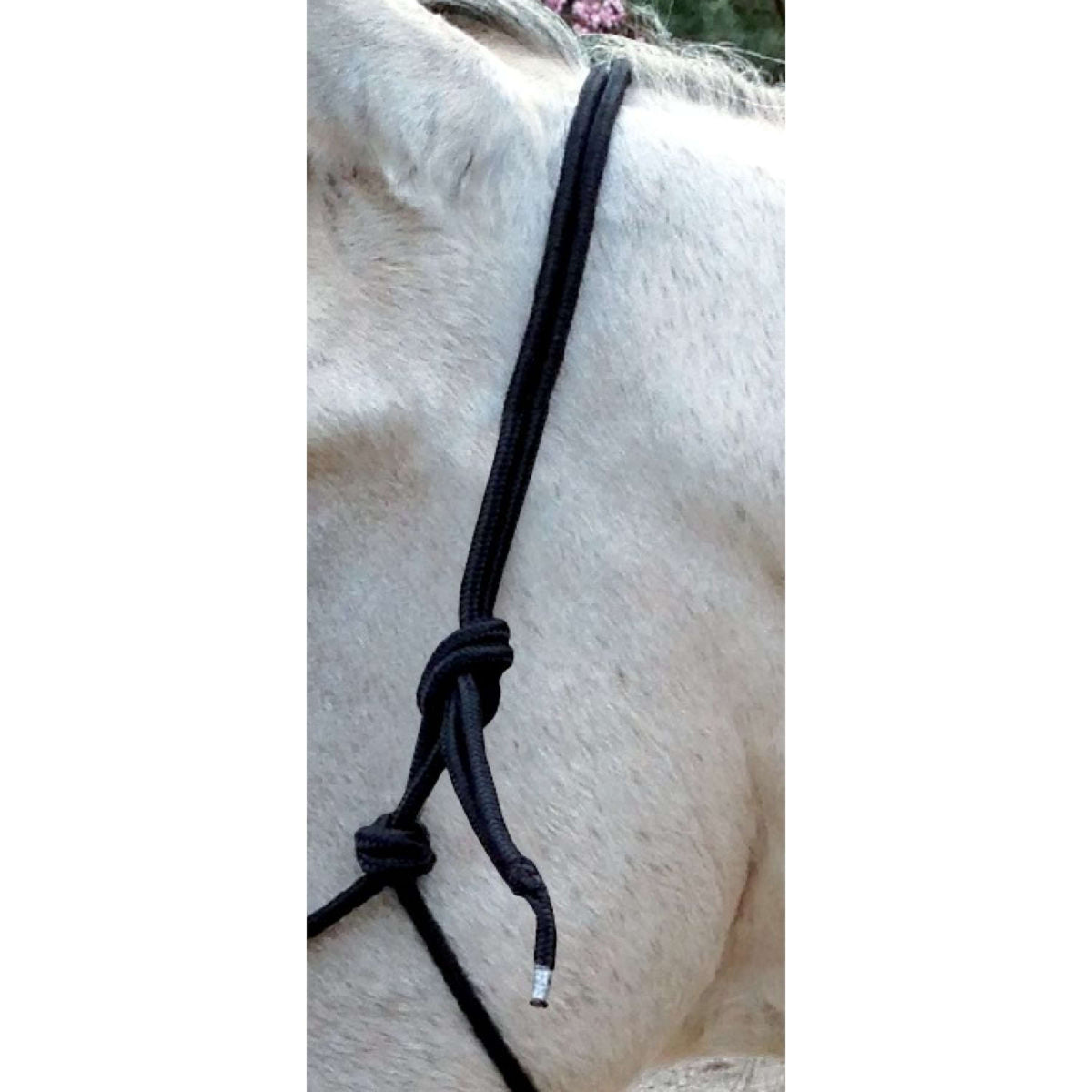 Norton Capezza da equitazione Nero