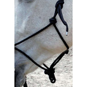 Norton Capezza da equitazione Nero
