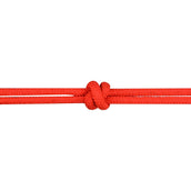 Norton Capezza da equitazione Rosso