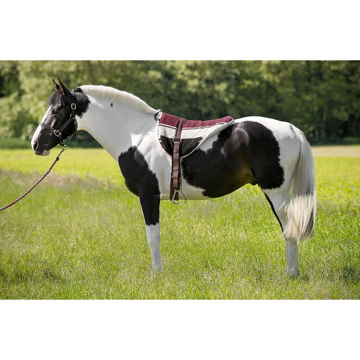 Norton Bareback Pad Marrone/Beige