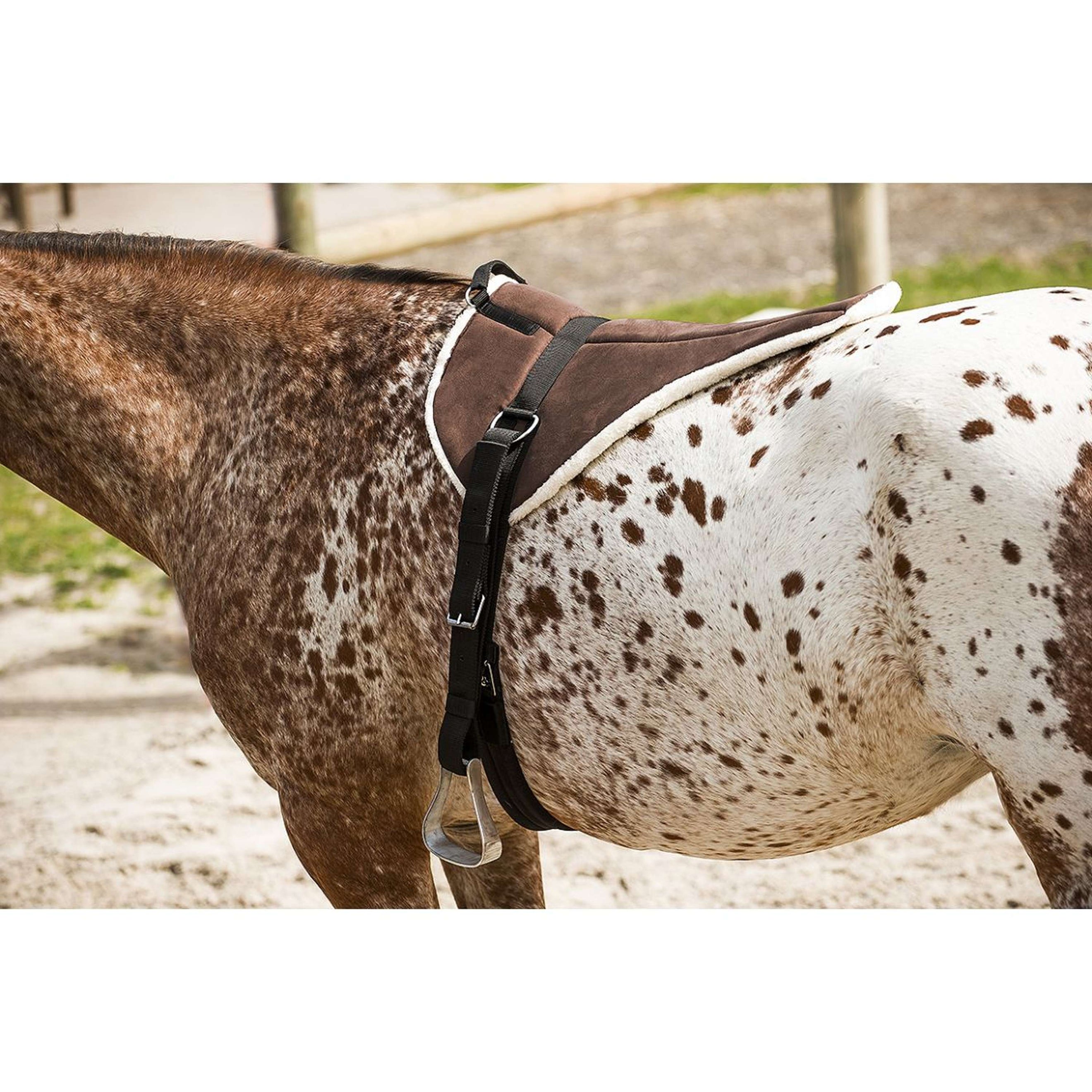 Norton Bareback Pad Soft Marrone/Beige Norton Bareback Pad Soft Marrone/Beige