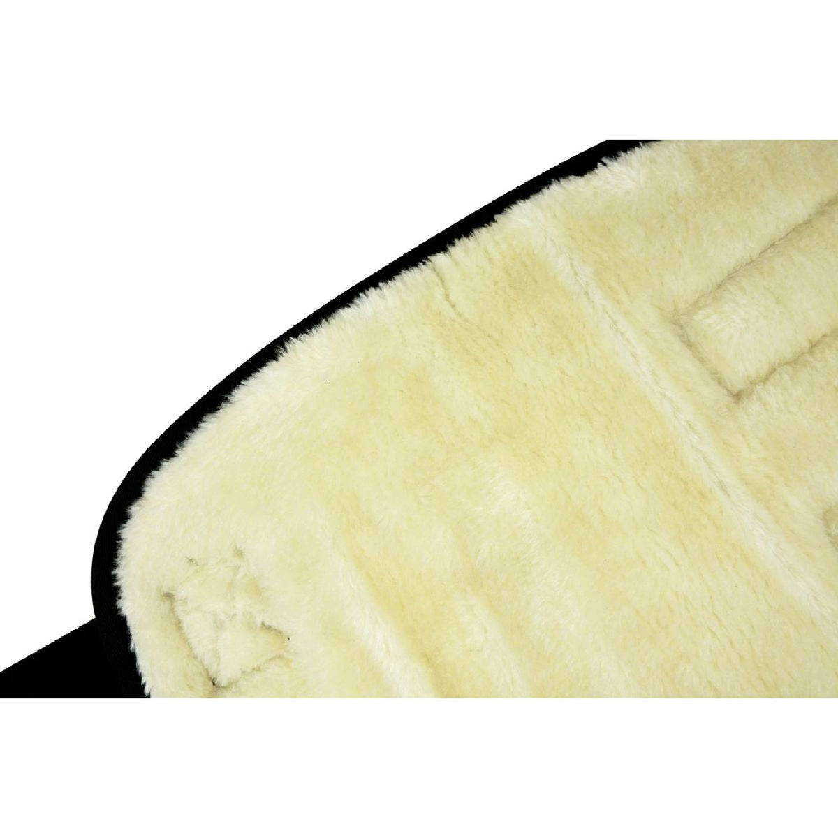 Riding World Protettori da trasporto Nero