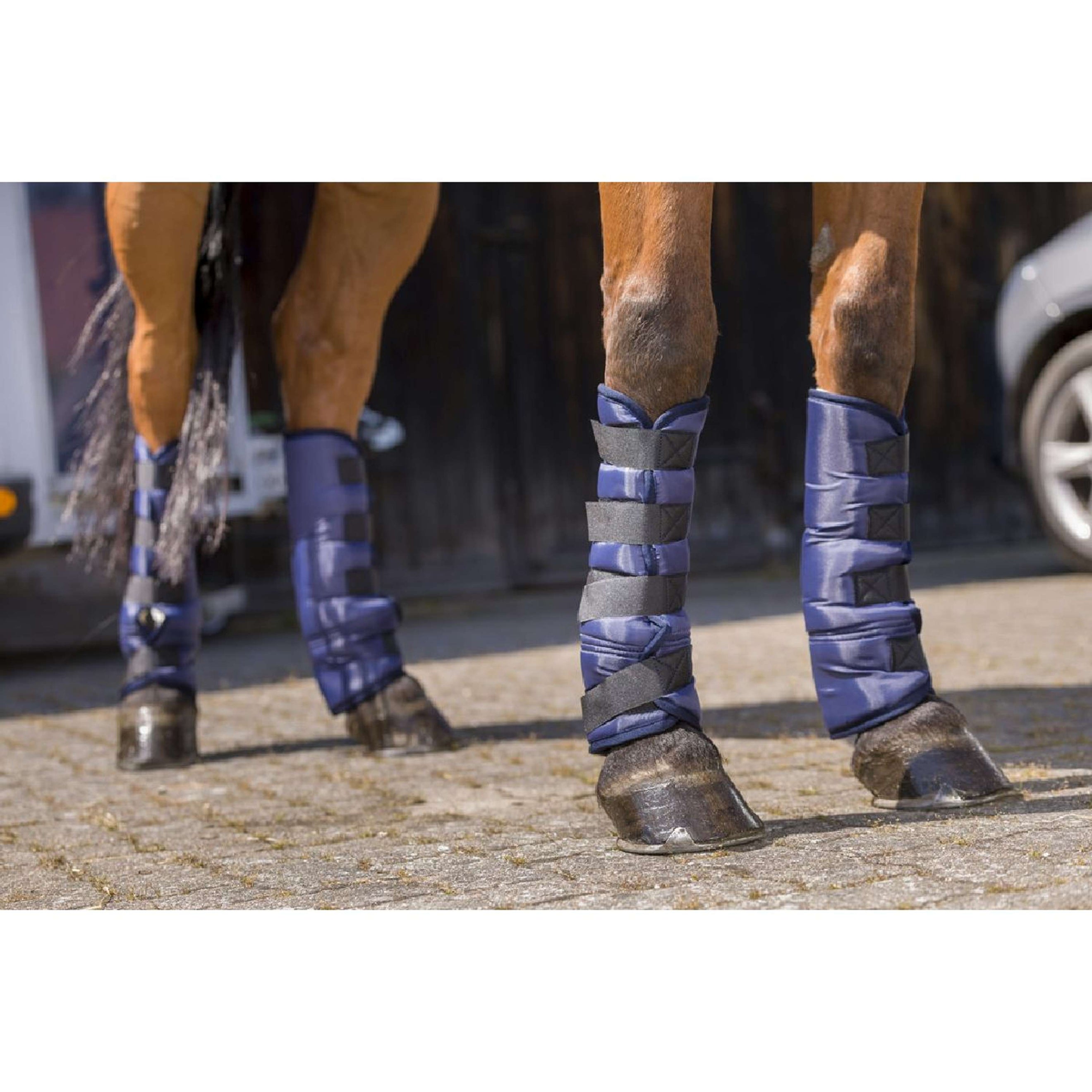 Riding World Protettori da trasporto Basso Navy