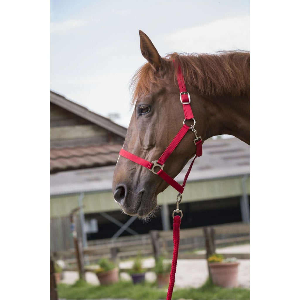 Riding World Set Cavezza Club Rosso