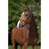Riding World Briglia