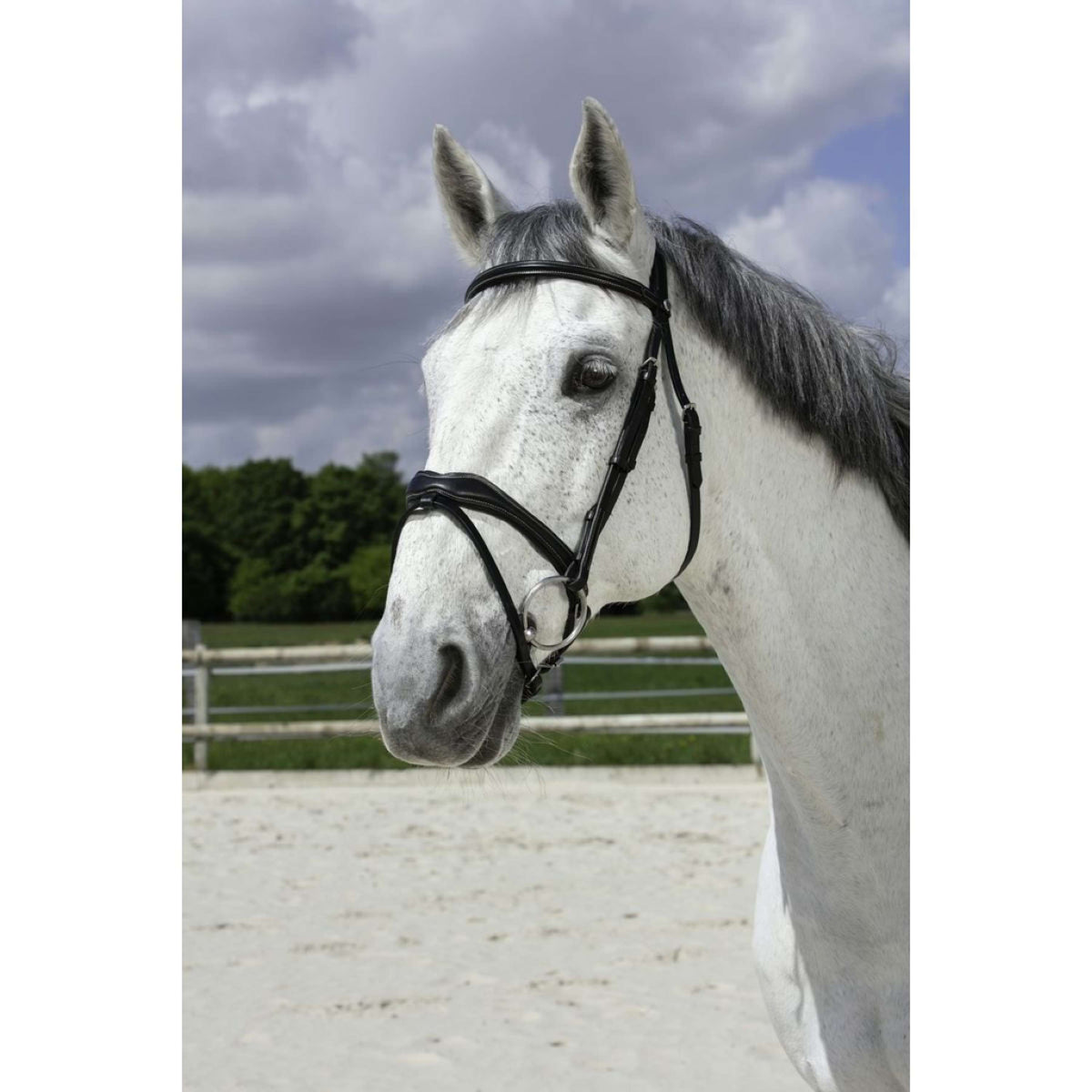 Norton Briglia Pro Vague Nero