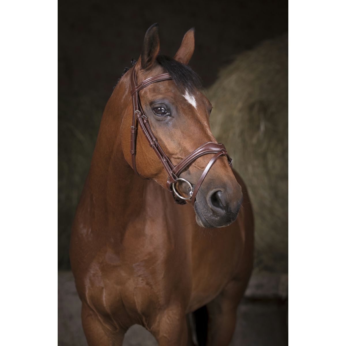 Norton Briglia Pro Vague L'Avana