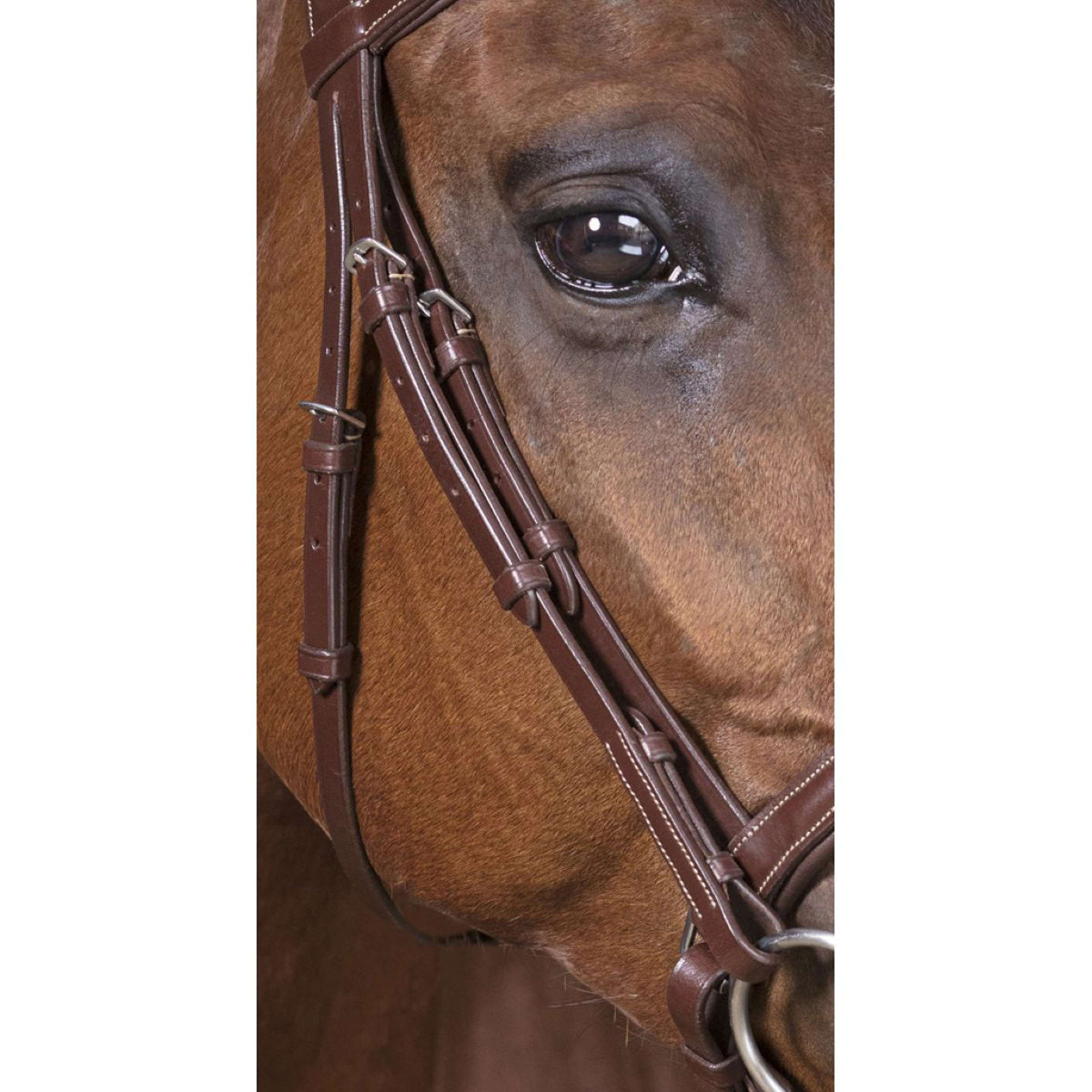 Norton Briglia Pro Vague L'Avana