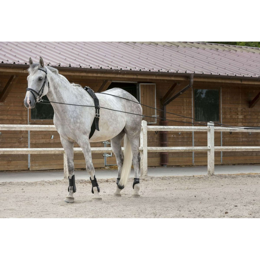 Riding World Redini
