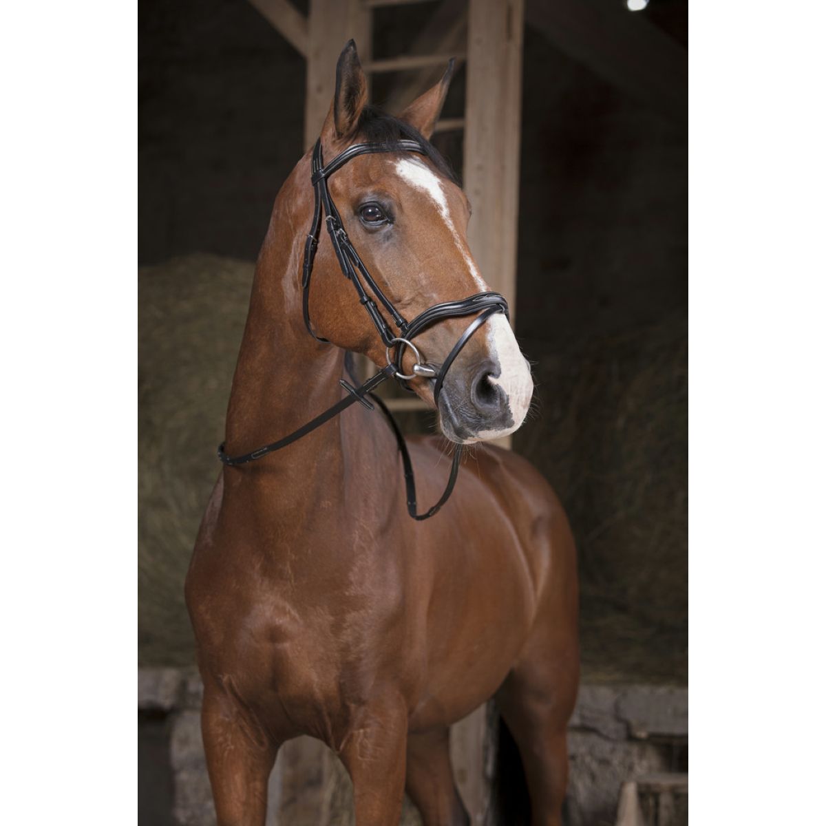 Norton Redini Pro Supergrip Nero