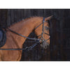 Riding World Redini Laterali Pirelli Nero