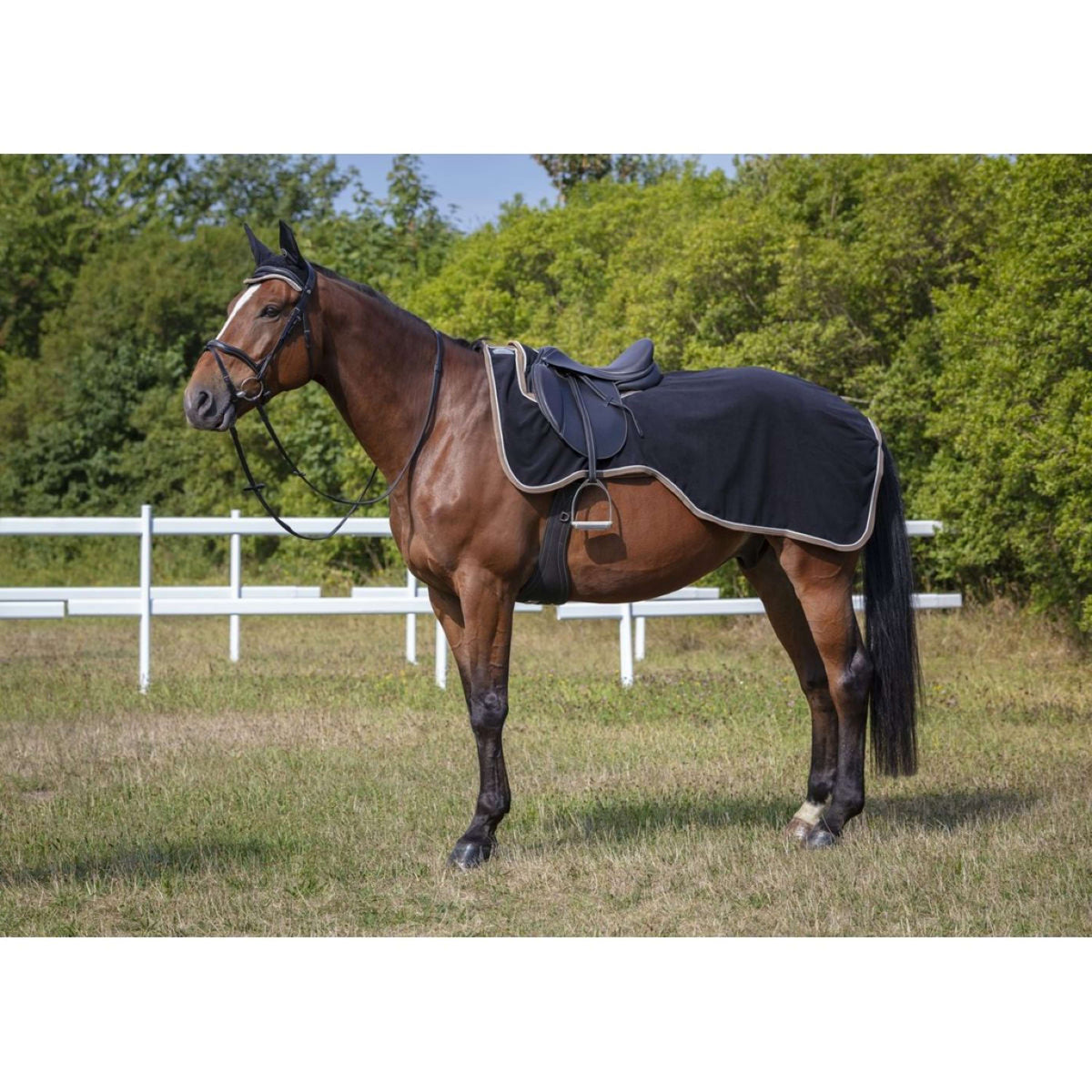 EQUITHÈME Coperta da esercizio Polyfun Nero