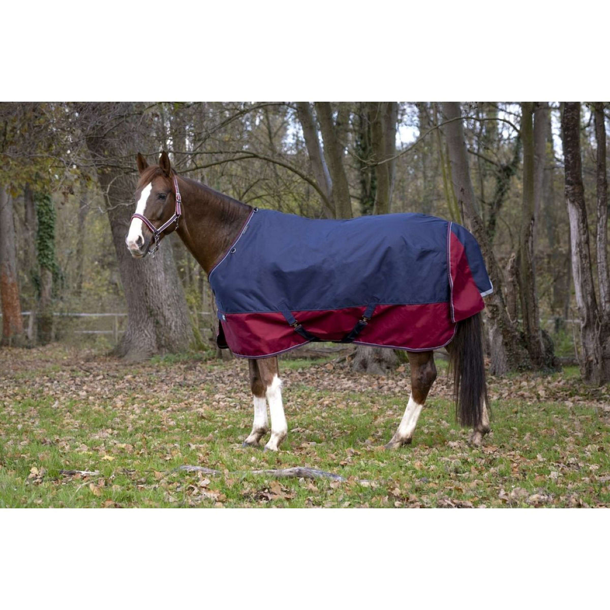 EQUITHÈME Tappeto da Esterno Tyrex 1200D 450g Navy/Bordeaux