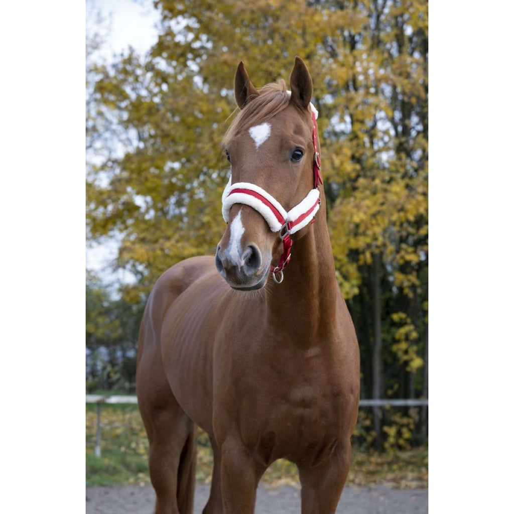 Norton Capezza Confort Rosso