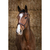 Norton Briglia Pro Miss L'Avana