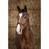 Norton Briglia Pro Miss L'Avana