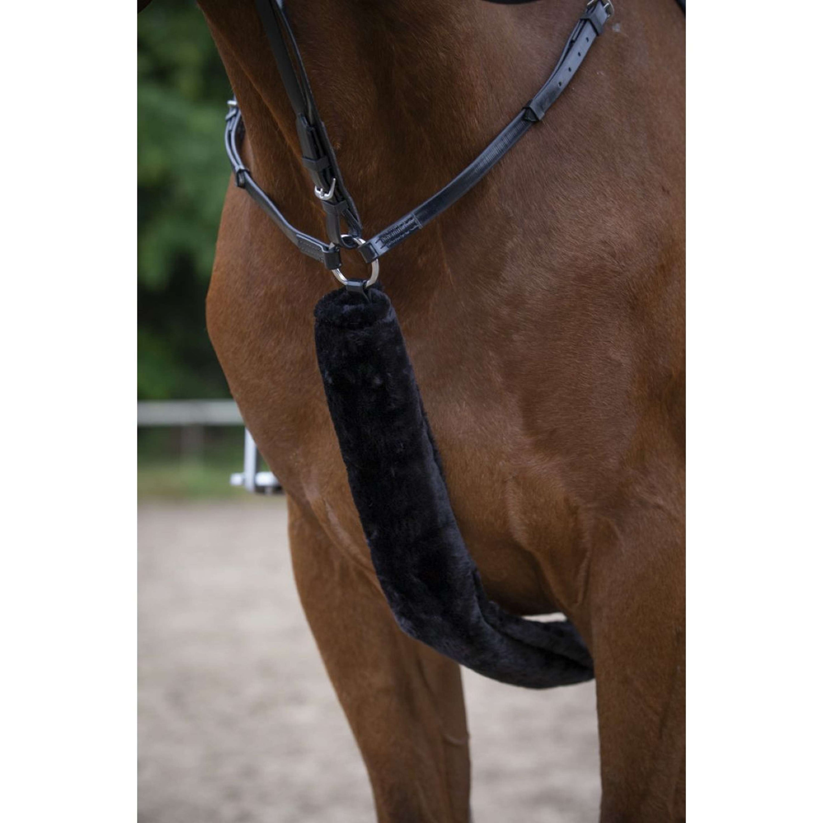 EQUITHÈME Protezione per Pettorina Teddy Nero EQUITHÈME Protezione per Pettorina Teddy Nero