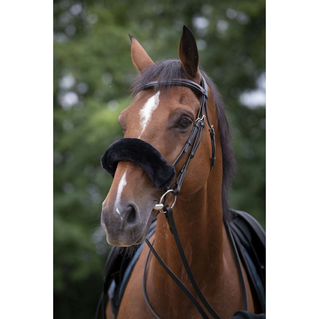 EQUITHÈME Fodera per Nasello Teddy Nero
